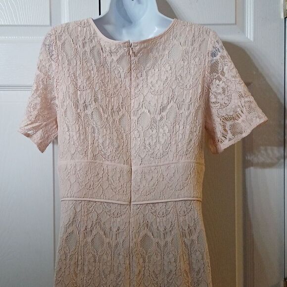 Lovely by Adrianna Papell blush lace dress wedding cruise baby shower Sz 10 NWOT - Picture 6 of 8